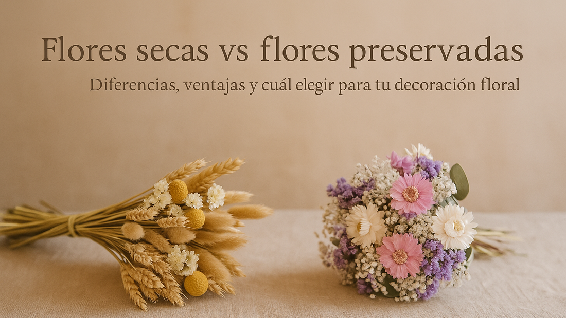 Flores secas vs flores preservadas: diferencias, ventajas y cuál elegir para tu decoración floral