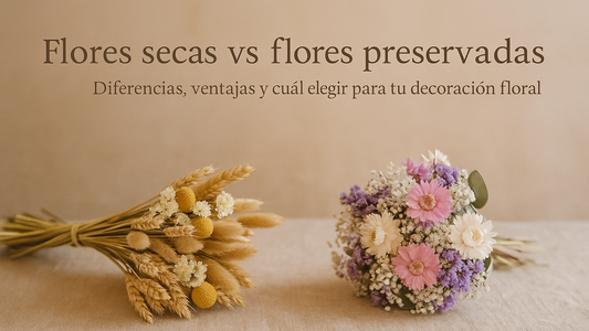 Flores secas vs flores preservadas: diferencias, ventajas y cuál elegir para tu decoración floral
